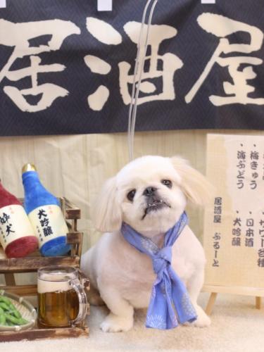 20240607エイトくん